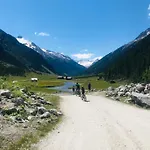 Weitblick Wald im Pinzgau