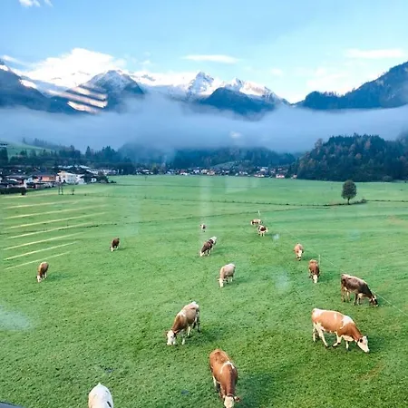 Apartman Weitblick *