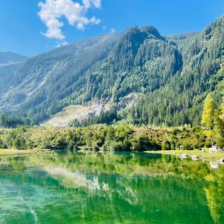 Weitblick Wald im Pinzgau
