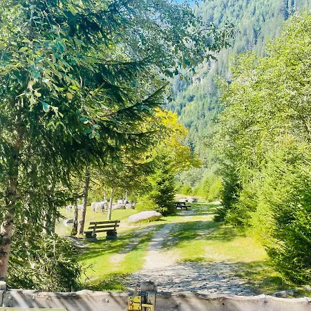 Weitblick * Wald im Pinzgau