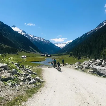 Weitblick Wald im Pinzgau
