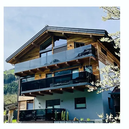 Weitblick Daire Wald im Pinzgau