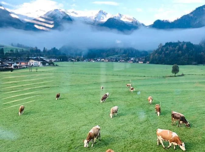 Διαμέρισμα Weitblick *