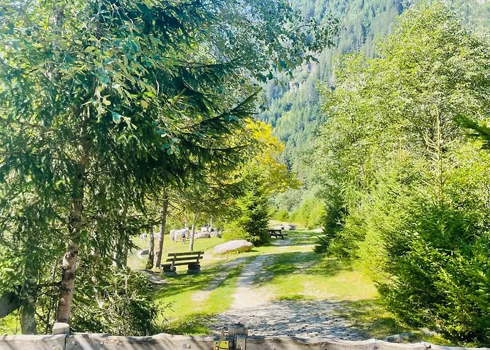 Weitblick * Wald im Pinzgau