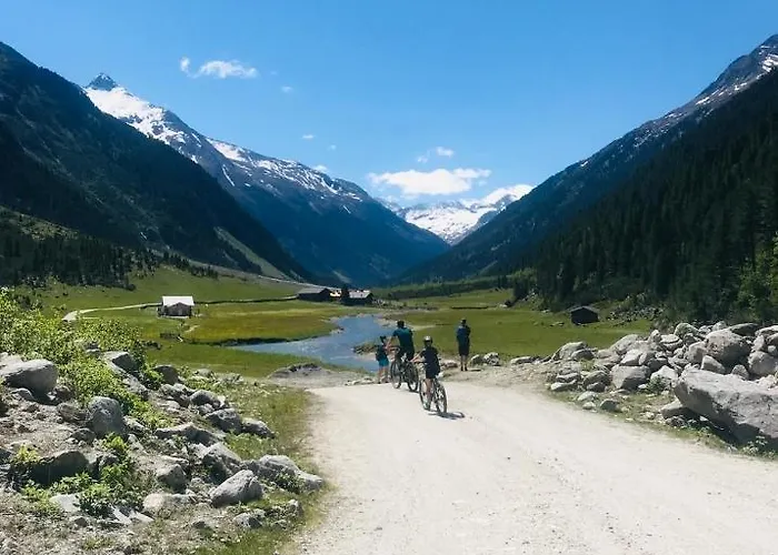 Weitblick Wald im Pinzgau