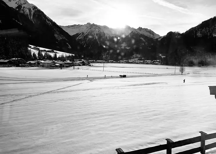 Weitblick * Wald im Pinzgau