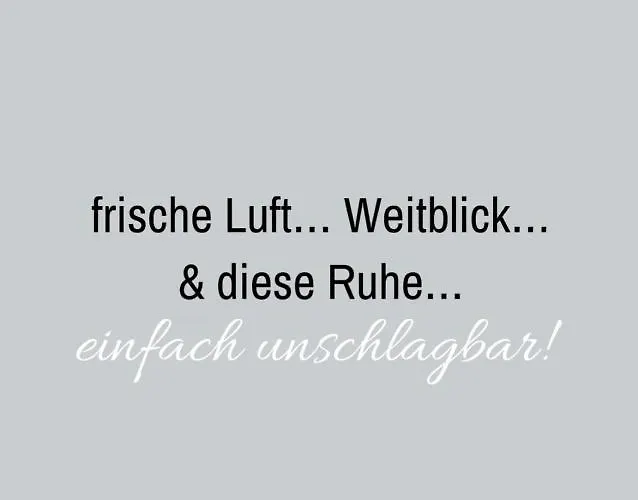 Weitblick Wald im Pinzgau