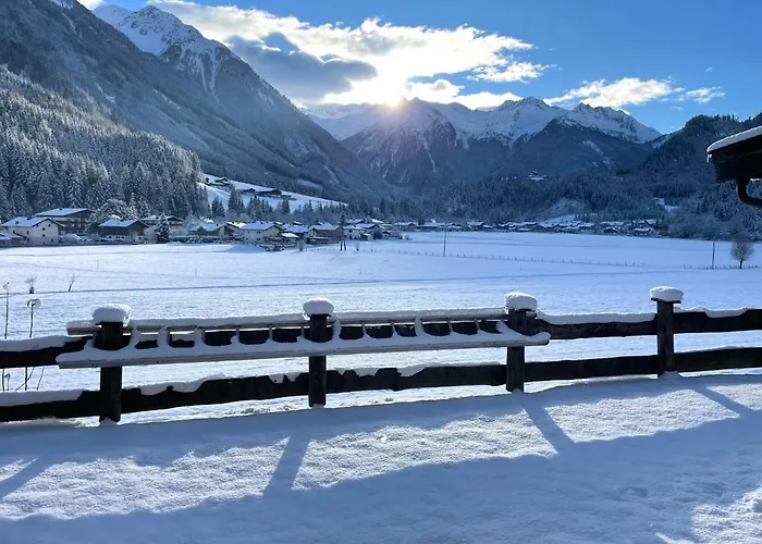 Weitblick Wald im Pinzgau